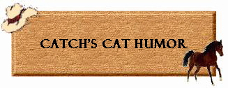 Catch's Cat Humor