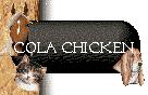 Cola Chicken