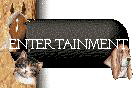 Entertainment