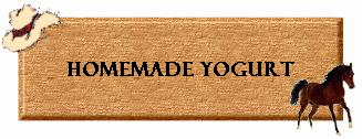 Homemade Yogurt